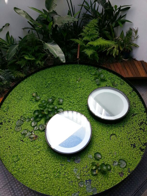 e3797d24154598e6aa95b066c913fea6