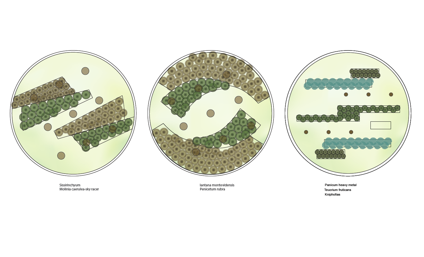 screen-shot-2017-02-13-at-6-29-12-pm