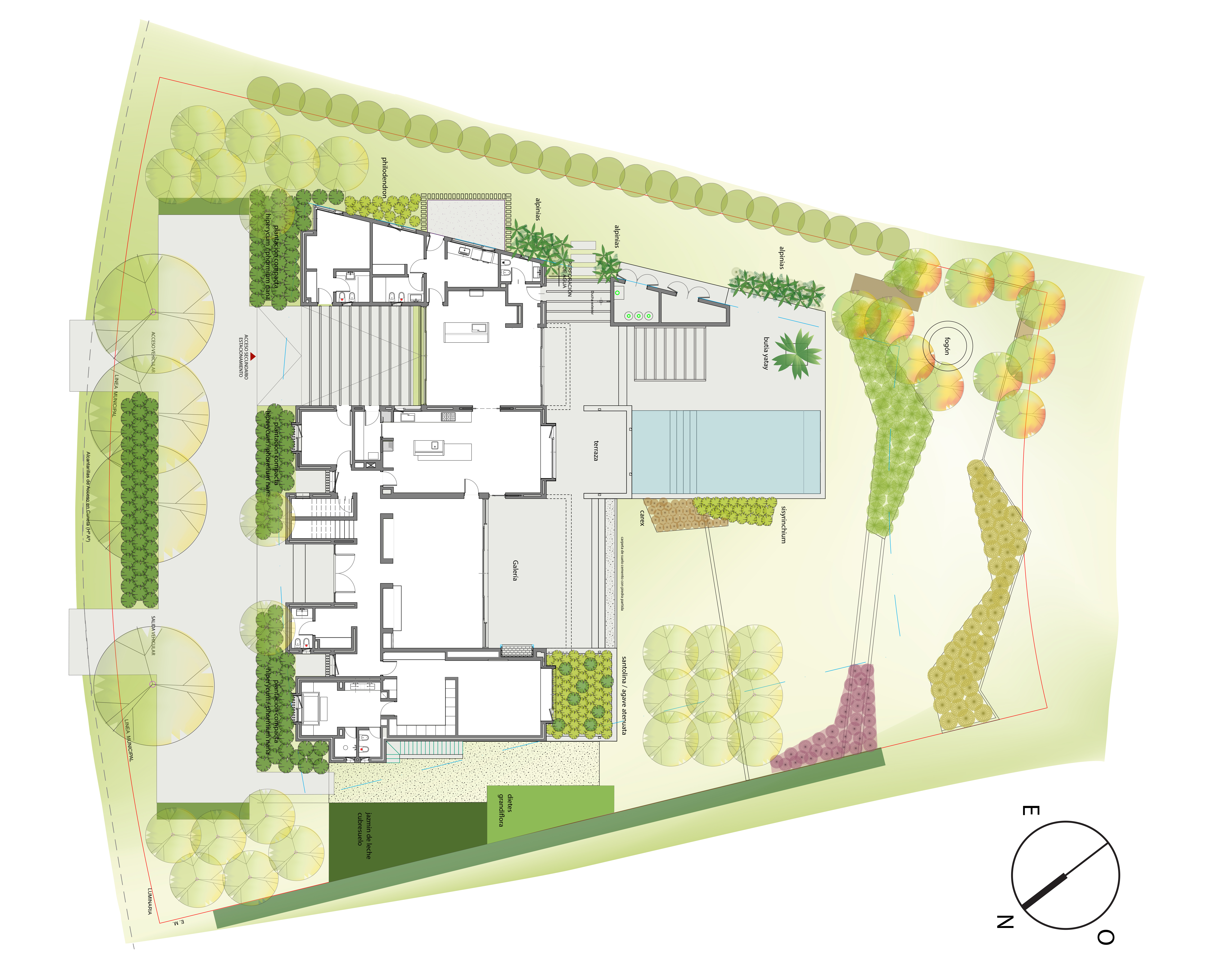 MARTINEZ planta horiz